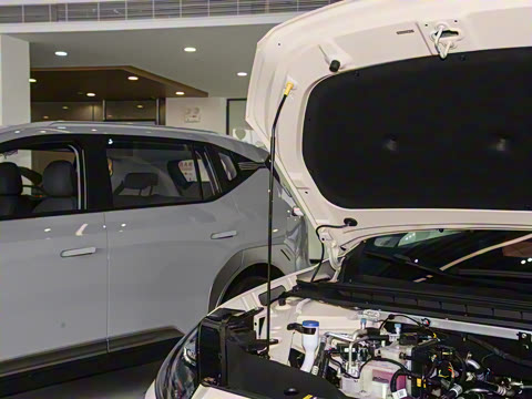 2025�� 650 ������