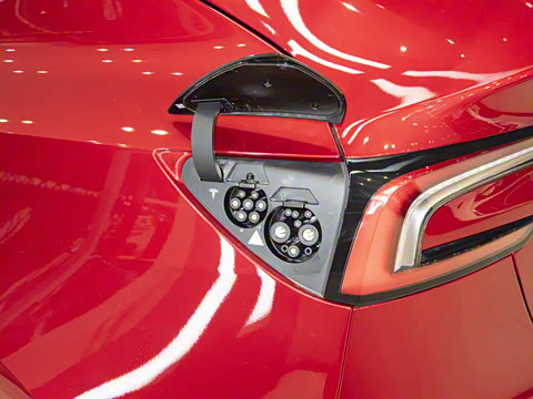 2025�� ����������