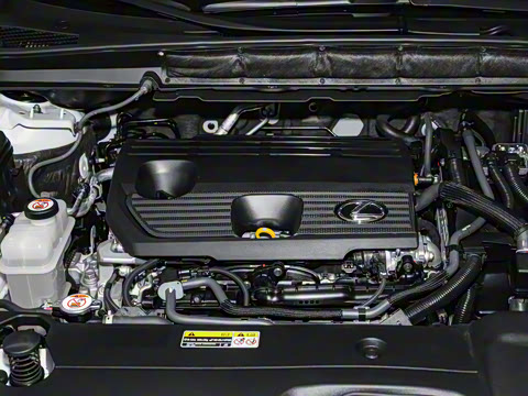 2023�� 350h ����������