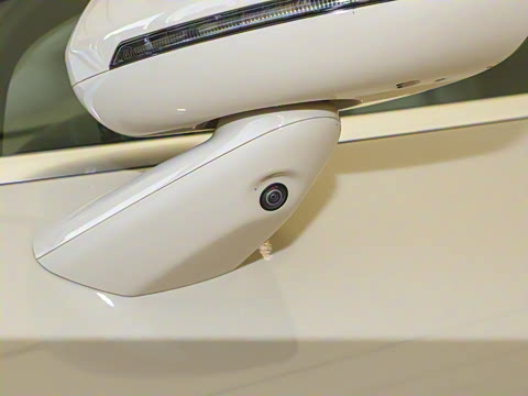 2025�� 705km Max