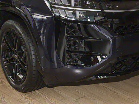 2025�� ;�� Pro 450TSI �����Ƿ��