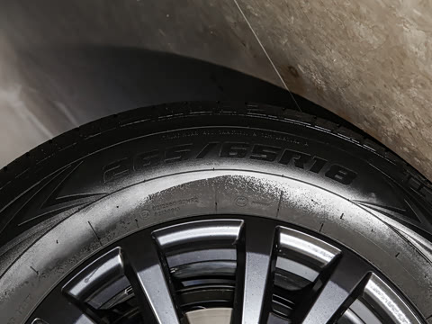 2023�� ̽����