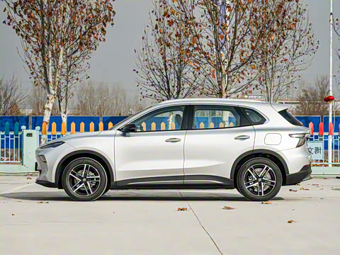 2025�� 425plus ������