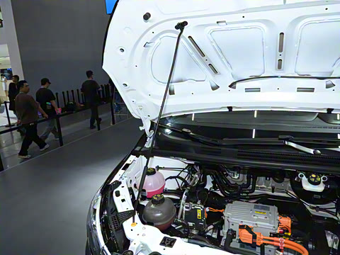 2025�� ��������