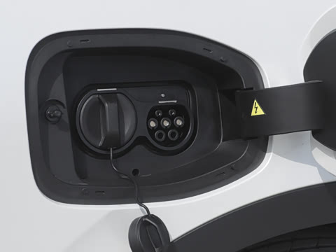 2025�� 420������