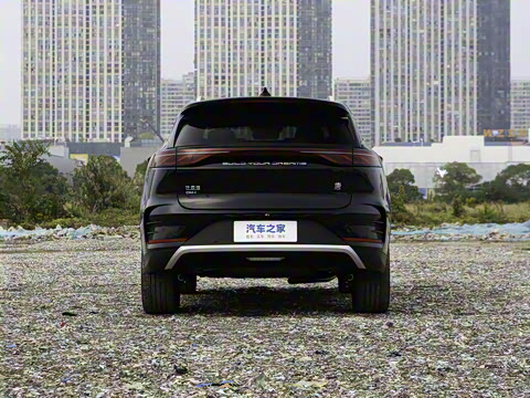 2025�� DM-i 115KM �����콢��