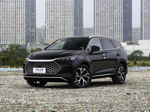 2025�� DM-i 115KM �����콢��