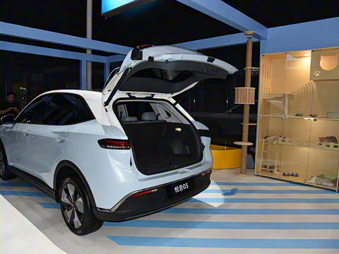 2025�� 565km ������