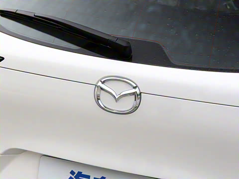 2024�� 2.0L �Զ�������