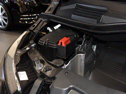 2024�� V 300 L ����������