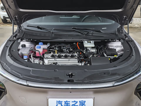 2025�� ���� ����� 230 ������