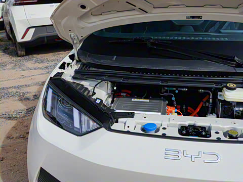 2025�� �Ǽݰ� 305km ������