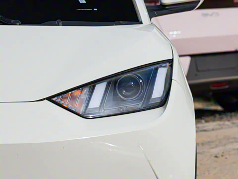 2025�� �Ǽݰ� 305km ������