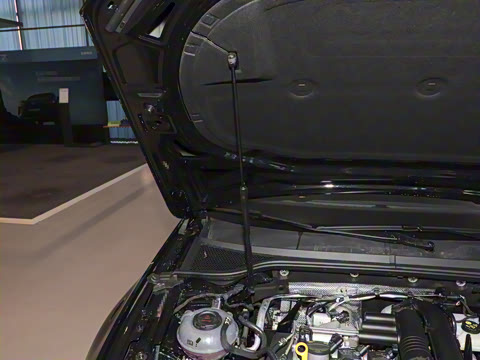 2025�� �Ŀ� ������ 280TSI DSG������