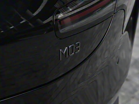 2025�� 502 ������ Max