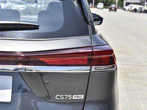 2025�� PRO 1.5T DCT ������ 5��