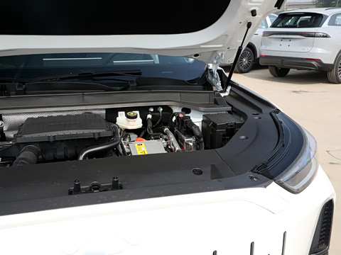 2024�� 120 �������������� 5�� �������