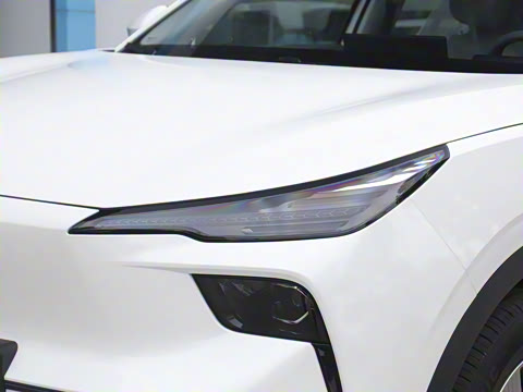 2025�� 565km ������