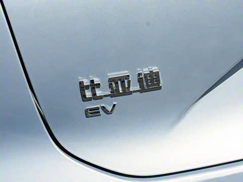 2025�� EV ���������״��콢��