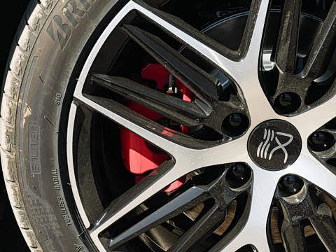 2025�� EV ���������״��콢��