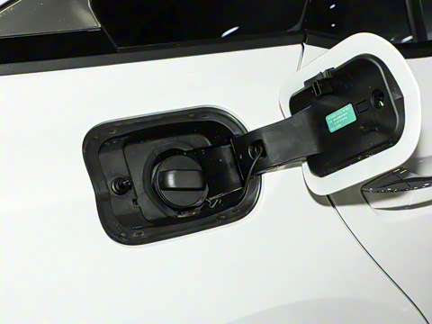 2024�� ���Ĵ� 2.0T �캽��