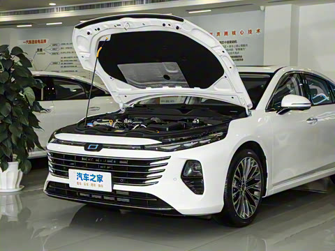 2024�� ���Ĵ� 2.0T �캽��