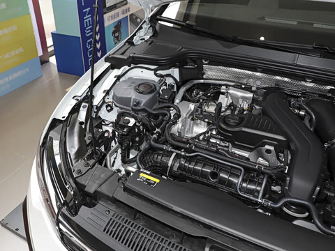 2025�� �Ŀ� 300TSI R-Line