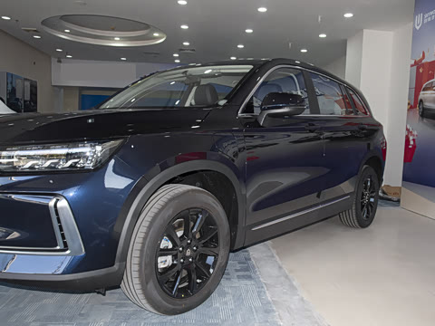 2024�� 520 ������