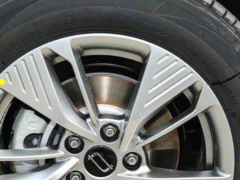 2025�� 445km ���ð�