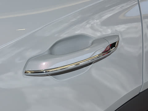 2024�� 2.0T PHEV �����쳩�� 6��