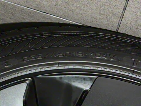 2025�� ����������