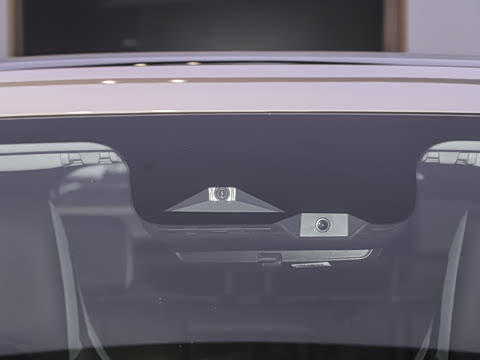 2025�� DM-i 115KM������