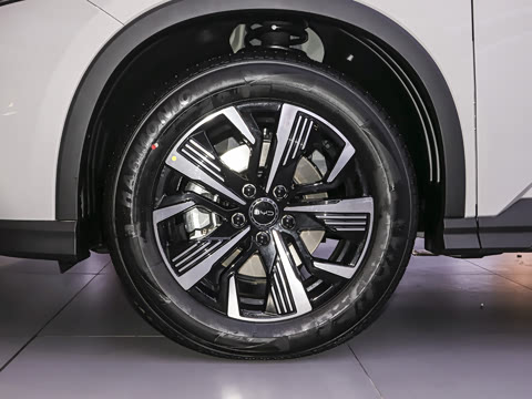 2025�� DM-i 115KM������