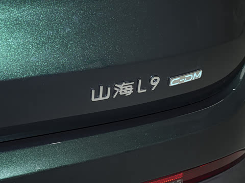 2024�� 1.5TD 2DHT Pro 7��