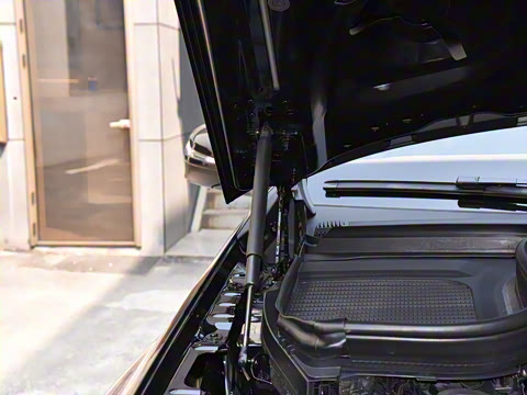 2025�� ����������