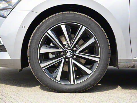 2025�� TSI330 DSG������