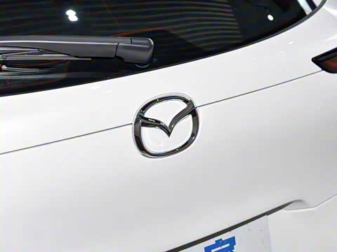 2024�� 2.0L �Զ�������