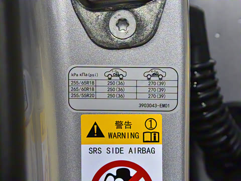 2024�� ����������