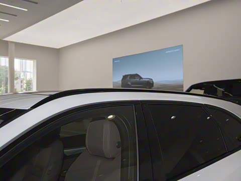 2025�� P250 R-Dynamic SE