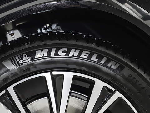 2025�� T8 ��������� 7��