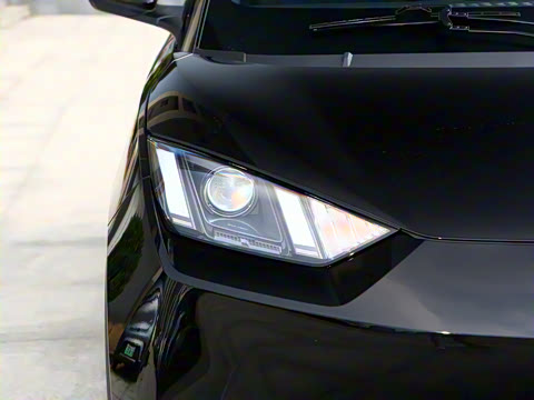 2025�� 305km ������