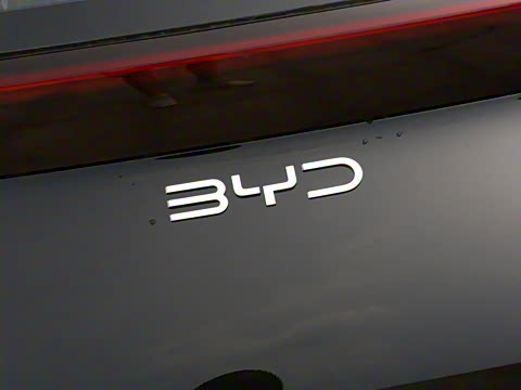 2025�� 305km ������