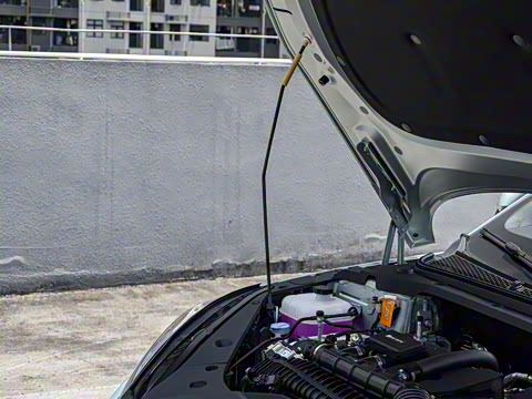 2025�� DM-i 80KM�����