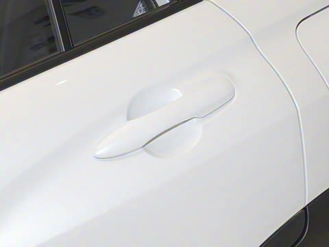 2024�� 2.0L ���ܵ��˫�� ������