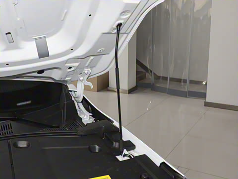 2024�� 520 ��ҫ��