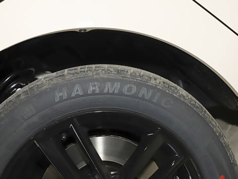 2025�� 520�Ǻ���