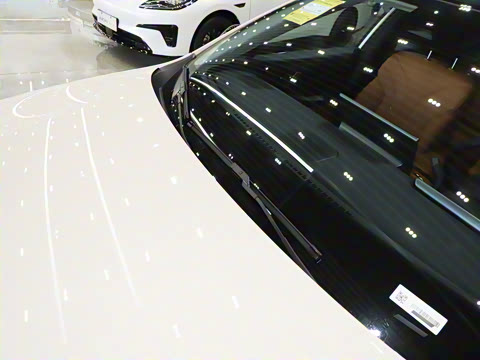 2025�� 520�Ǻ���