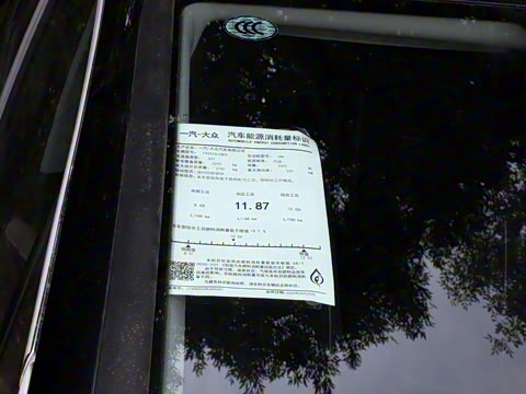 2024�� 530TSI �����콢ʤ��Pro ������  6��