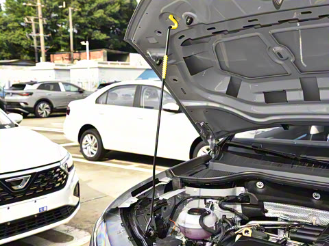 2024�� 280TSI �Զ������߹��