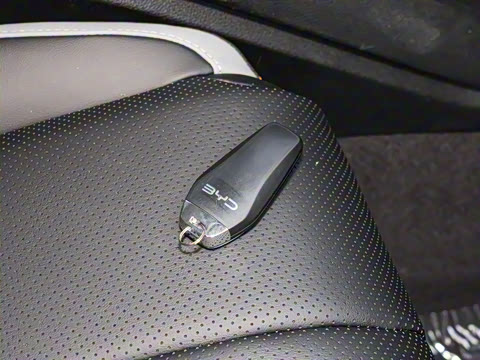 2025�� DM-i �Ǽݰ� 75KM������